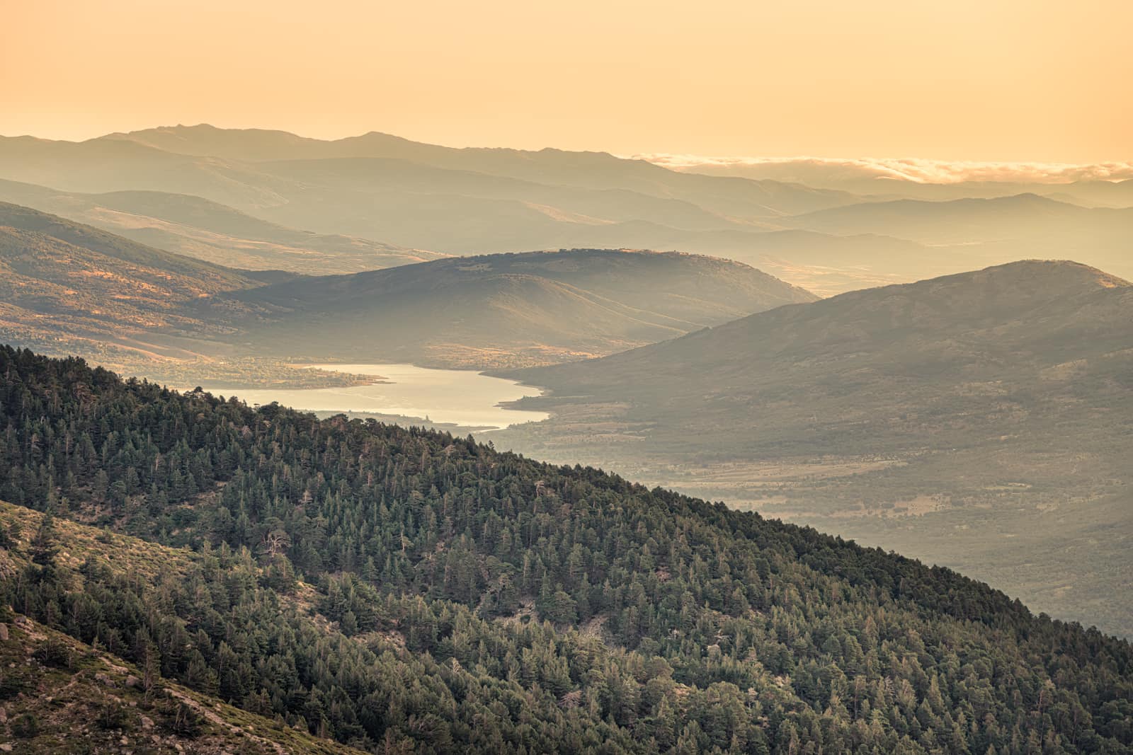 Natural landscape with beautiful vegetation